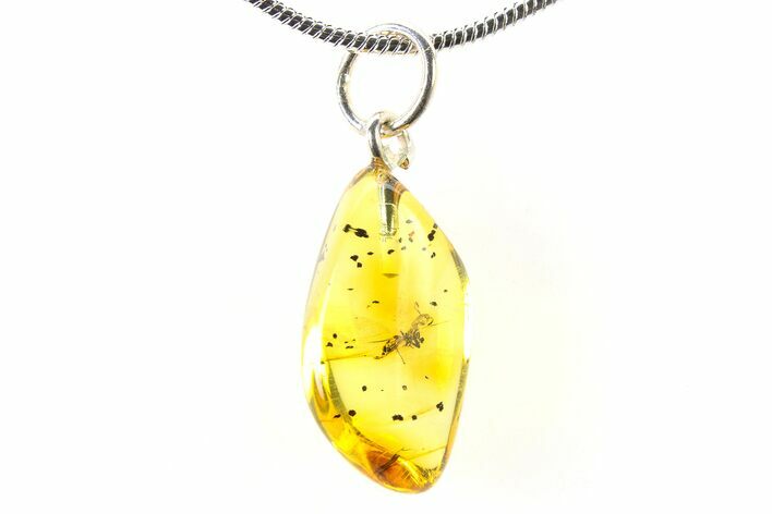 Polished Baltic Amber Pendant (Necklace) - Contains Ant! #321255